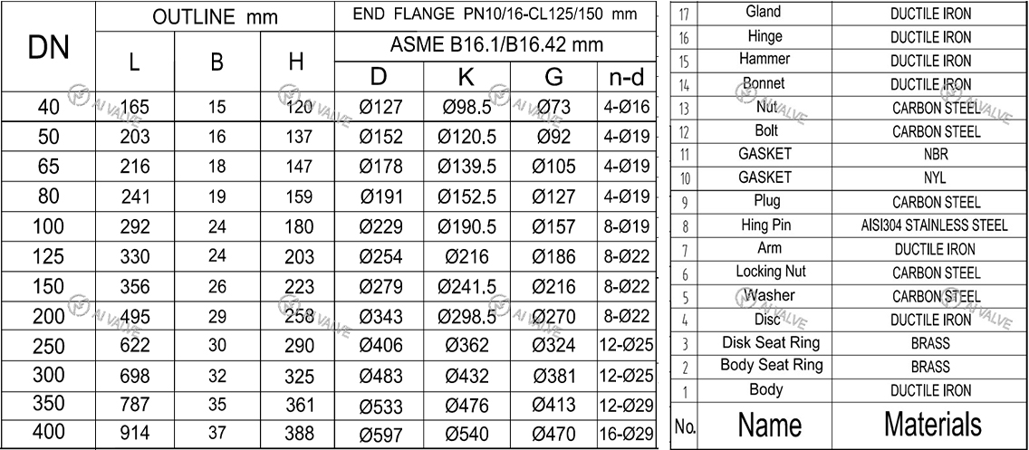 Swing Check Valve
